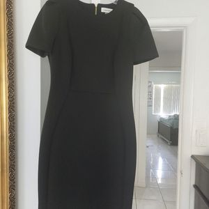 Calvin Klein Scuba Dress
